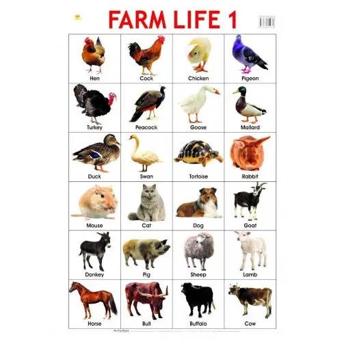 CHART LRG FARM LIFE 1 75X50CM