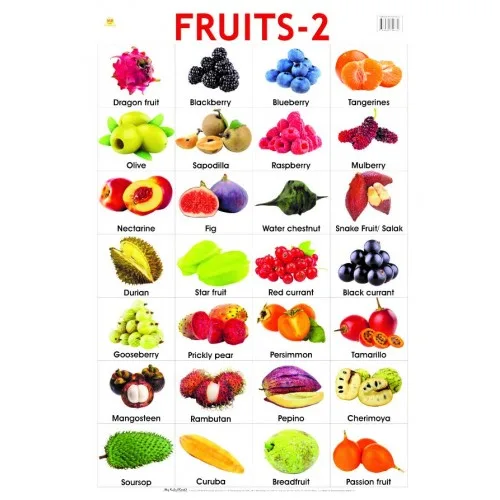 CHART LRG FRUITS 2 75X50CM