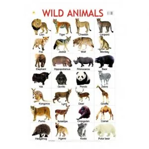 CHART LRG WILD ANIMALS 75X50CM