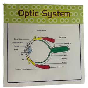 CHART LRG OPTIC SYSTEM EYE