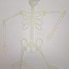 HALLOWEEN SKELETON GLOW IN THE DARK 90CM